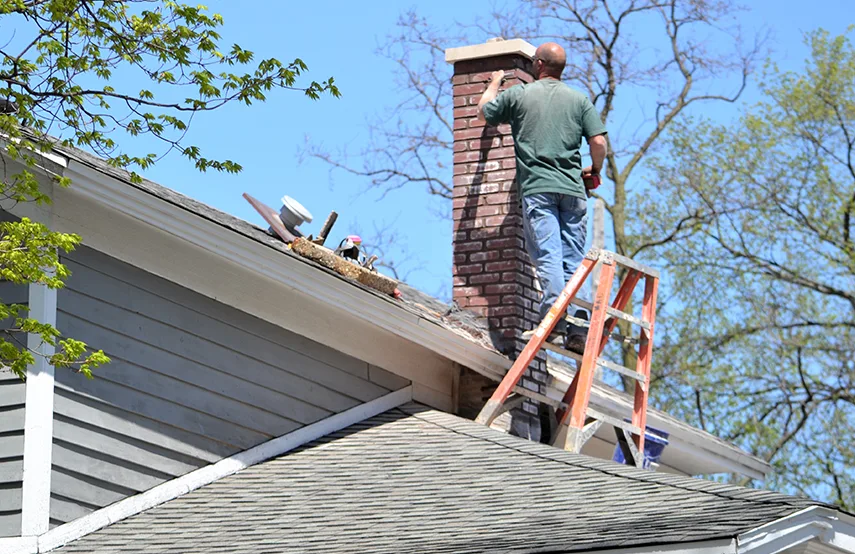 Chimney & Fireplace Inspections Services in Woodstock, IL